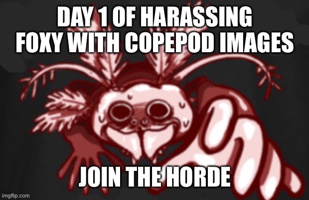 shitpost status | DAY 1 OF HARASSING FOXY WITH COPEPOD IMAGES; JOIN THE HORDE | image tagged in shitpost status | made w/ Imgflip meme maker