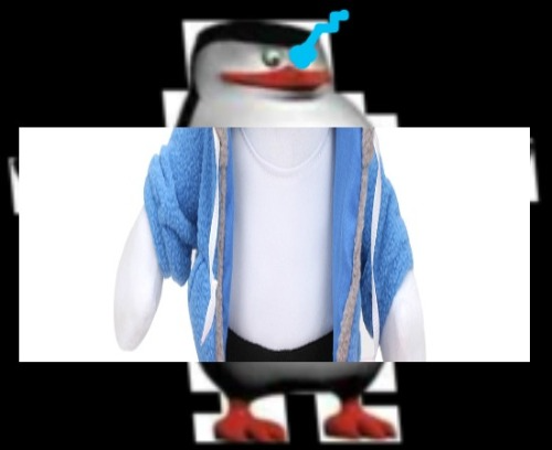 SANSER Blank Meme Template