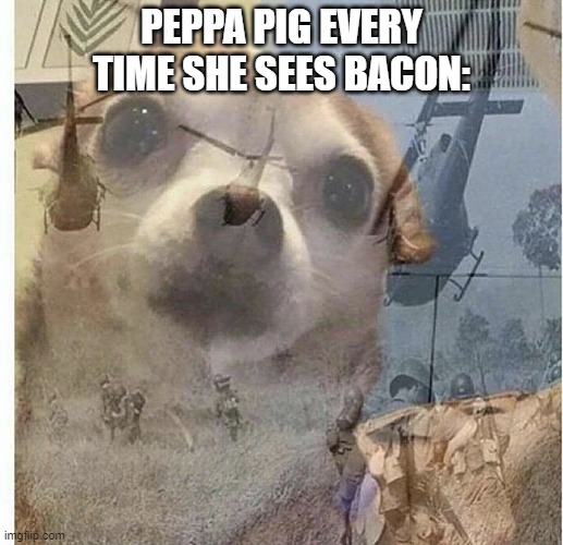 PTSD Chihuahua | PEPPA PIG EVERY TIME SHE SEES BACON: | image tagged in ptsd chihuahua | made w/ Imgflip meme maker