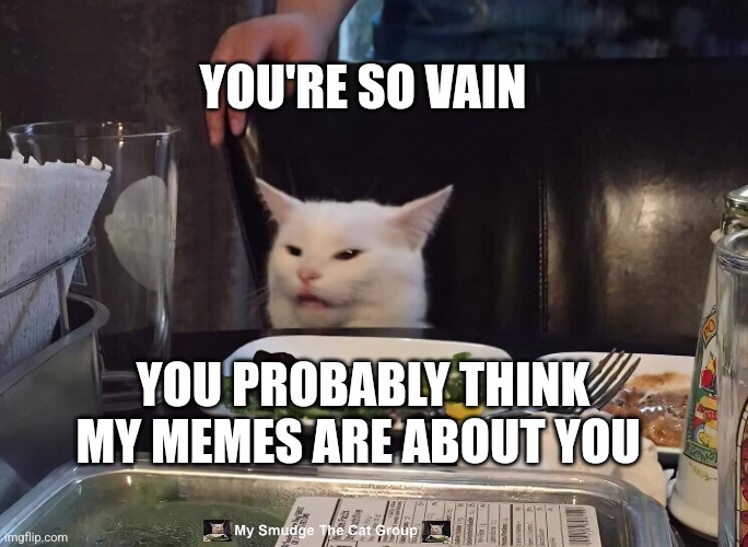  YOU'RE SO VAIN; YOU PROBABLY THINK MY MEMES ARE ABOUT YOU | image tagged in smudge the cat | made w/ Imgflip meme maker