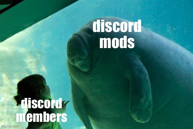 Overlord Manatee | discord mods; discord members | image tagged in shitpost status | made w/ Imgflip meme maker