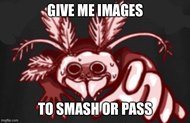 shitpost status | GIVE ME IMAGES; TO SMASH OR PASS | image tagged in shitpost status | made w/ Imgflip meme maker