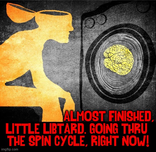 ALMOST FINISHED,
LITTLE LIBTARD. GOING THRU 
THE SPIN CYCLE, RIGHT NOW! | made w/ Imgflip meme maker