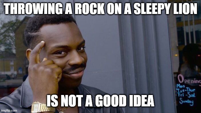 Roll Safe Think About It | THROWING A ROCK ON A SLEEPY LION; IS NOT A GOOD IDEA | image tagged in memes,roll safe think about it | made w/ Imgflip meme maker