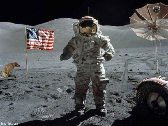 image tagged in conspiracy theories,fake moon landing,neil armstrong,moon,nasa hoax,dogs | made w/ Imgflip meme maker