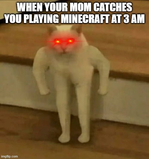When your mom catches you playing Minecraft | WHEN YOUR MOM CATCHES YOU PLAYING MINECRAFT AT 3 AM | image tagged in funny cats,funny memes | made w/ Imgflip meme maker