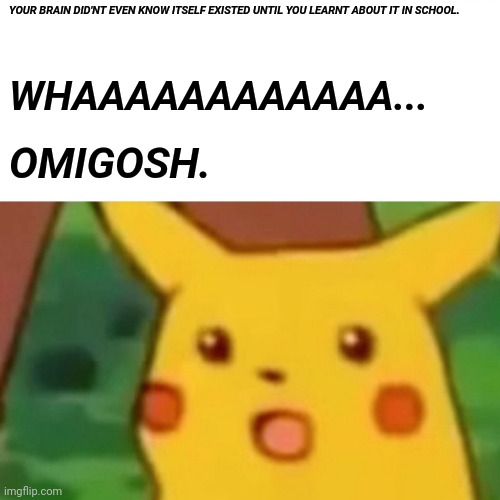 Surprised Pikachu Meme | YOUR BRAIN DID'NT EVEN KNOW ITSELF EXISTED UNTIL YOU LEARNT ABOUT IT IN SCHOOL. WHAAAAAAAAAAAA... OMIGOSH. | image tagged in memes,surprised pikachu | made w/ Imgflip meme maker