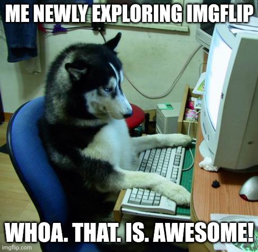 I Have No Idea What I Am Doing | ME NEWLY EXPLORING IMGFLIP; WHOA. THAT. IS. AWESOME! | image tagged in memes,i have no idea what i am doing | made w/ Imgflip meme maker