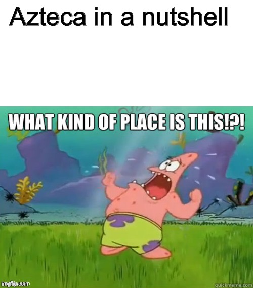 Wizard101 Azteca | Azteca in a nutshell | image tagged in what kind of place is this | made w/ Imgflip meme maker