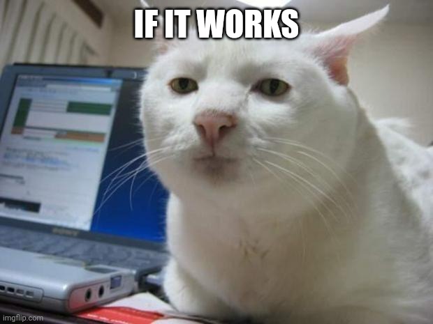 serious cat | IF IT WORKS | image tagged in serious cat | made w/ Imgflip meme maker