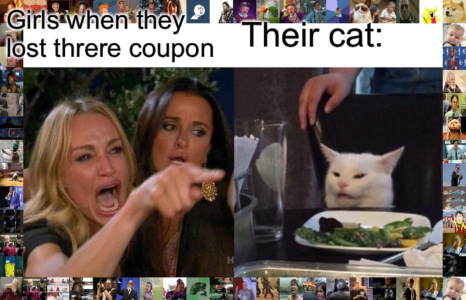 Woman Yelling At Cat | Girls when they lost threre coupon; Their cat: | image tagged in memes,woman yelling at cat | made w/ Imgflip meme maker