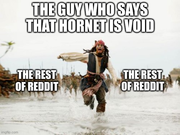 Literly the hollow knight fanbase | THE GUY WHO SAYS THAT HORNET IS VOID; THE REST OF REDDIT; THE REST OF REDDIT | image tagged in memes,jack sparrow being chased | made w/ Imgflip meme maker