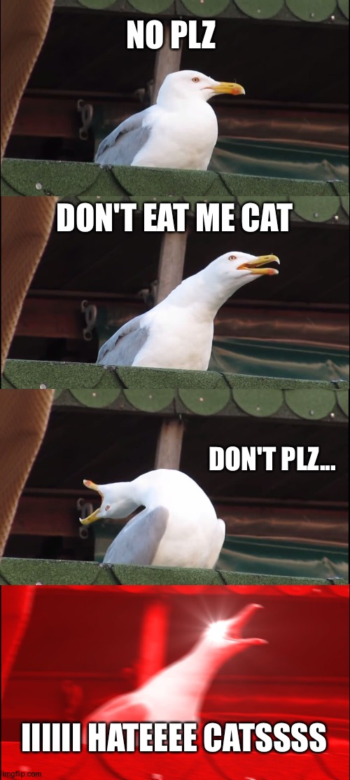 When seagull has a bad dream | NO PLZ; DON'T EAT ME CAT; DON'T PLZ... IIIIII HATEEEE CATSSSS | image tagged in memes,inhaling seagull | made w/ Imgflip meme maker