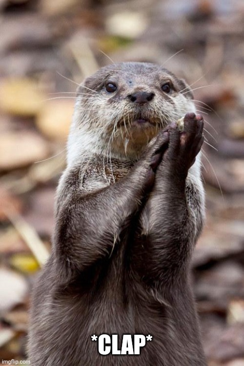 Slow-Clap Otter | *CLAP* | image tagged in slow-clap otter | made w/ Imgflip meme maker