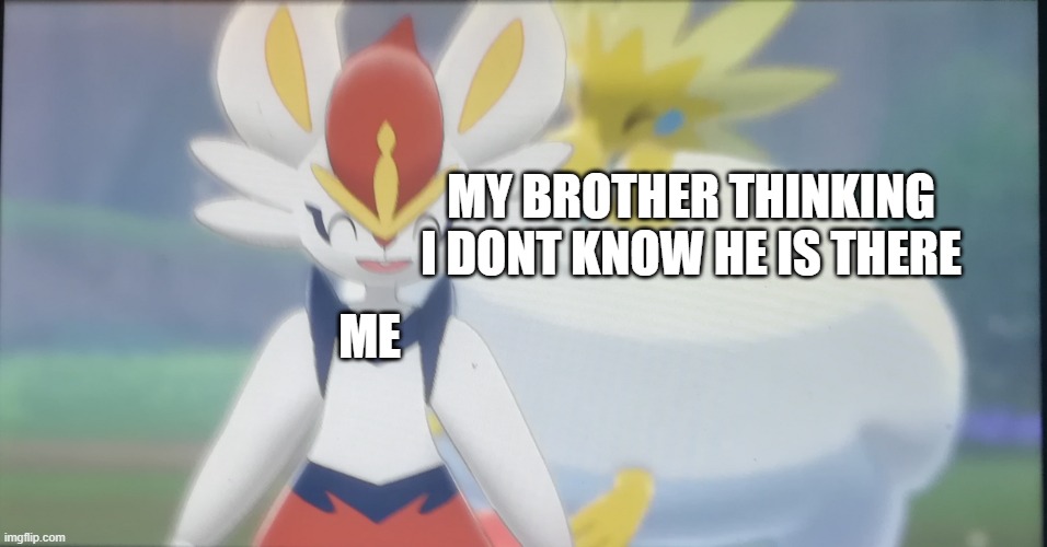 little brother btw | MY BROTHER THINKING I DONT KNOW HE IS THERE; ME | image tagged in arctozolt behind cinderace | made w/ Imgflip meme maker