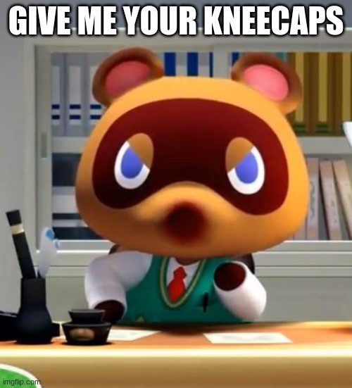 Or else | GIVE ME YOUR KNEECAPS | image tagged in tom nook | made w/ Imgflip meme maker