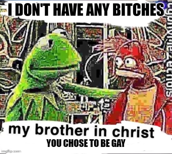 My brother in christ | I DON'T HAVE ANY BITCHES; YOU CHOSE TO BE GAY | image tagged in my brother in christ | made w/ Imgflip meme maker