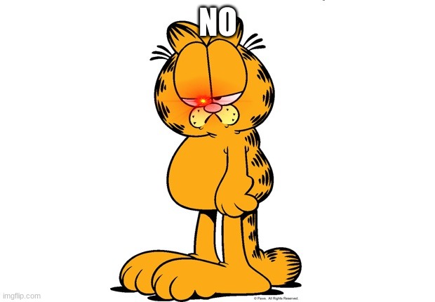 Grumpy Garfield | NO | image tagged in grumpy garfield | made w/ Imgflip meme maker