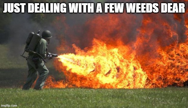 flamethrower | JUST DEALING WITH A FEW WEEDS DEAR | image tagged in flamethrower | made w/ Imgflip meme maker