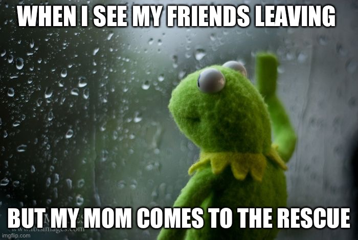 kermit window | WHEN I SEE MY FRIENDS LEAVING; BUT MY MOM COMES TO THE RESCUE | image tagged in kermit window | made w/ Imgflip meme maker