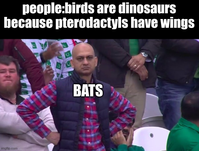 bats have wings too :( | people:birds are dinosaurs because pterodactyls have wings; BATS | image tagged in disappointed muhammad sarim akhtar | made w/ Imgflip meme maker