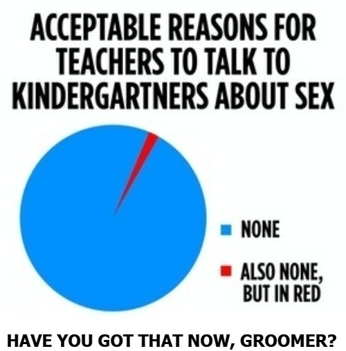 Groomer Education | image tagged in kindergarten,sex,groomers,groomer,sex education,pedophile agenda | made w/ Imgflip meme maker