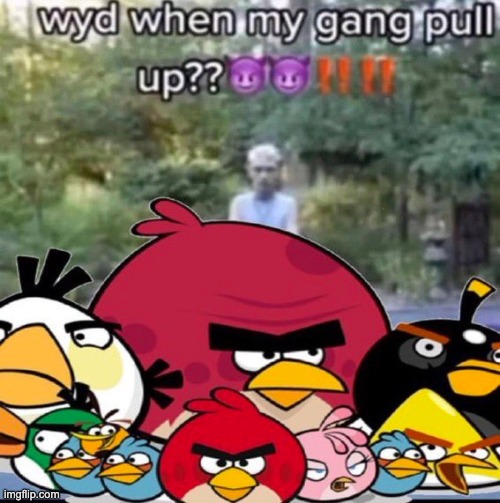 wyd   >:) | image tagged in memes,unfunny | made w/ Imgflip meme maker