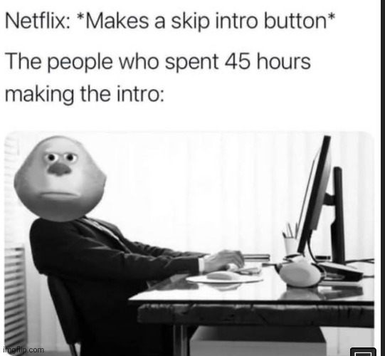 Wasted. | image tagged in netflix,intro,skip | made w/ Imgflip meme maker