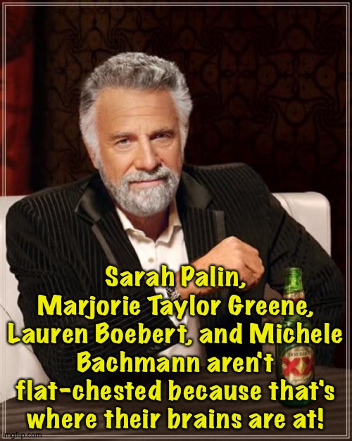 To answer a question posed earlier... | Sarah Palin, Marjorie Taylor Greene, Lauren Boebert, and Michele Bachmann aren't flat-chested because that's where their brains are at! | image tagged in memes,the most interesting man in the world | made w/ Imgflip meme maker