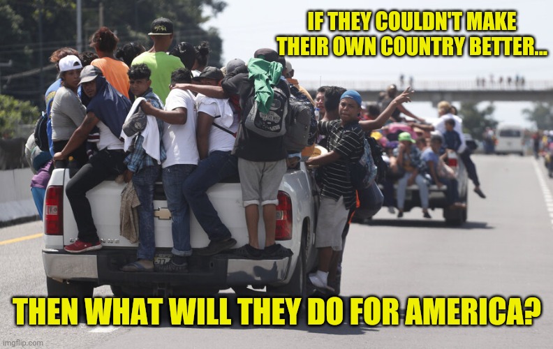 What do politicians and illegals have in common? Neither do a damn thing to make America better. | IF THEY COULDN'T MAKE THEIR OWN COUNTRY BETTER... THEN WHAT WILL THEY DO FOR AMERICA? | image tagged in memes | made w/ Imgflip meme maker