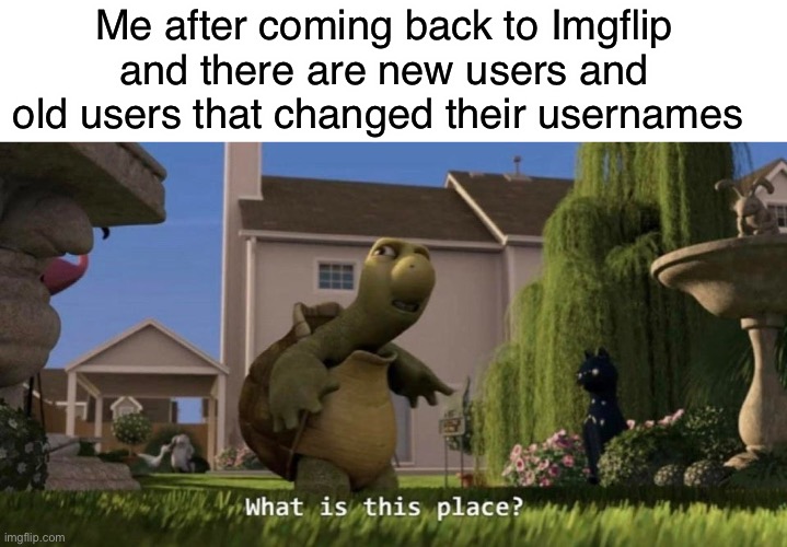 I made memes about this stuff and now I am the one experiencing it lmao | Me after coming back to Imgflip and there are new users and old users that changed their usernames | image tagged in what is this place | made w/ Imgflip meme maker