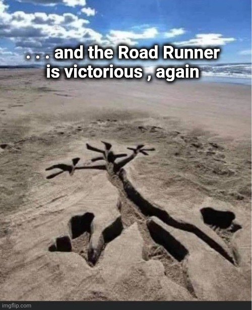 Let's stick to Cartoon violence |  . . . and the Road Runner
 is victorious , again | image tagged in road runner,wile e coyote,loser | made w/ Imgflip meme maker