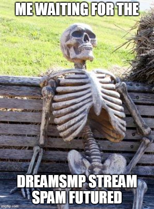 Waiting Skeleton | ME WAITING FOR THE; DREAMSMP STREAM SPAM FUTURED | image tagged in memes,waiting skeleton | made w/ Imgflip meme maker