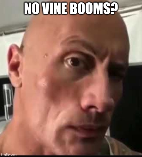 *vine boom* | NO VINE BOOMS? | image tagged in dwayne johnson eyebrow raise | made w/ Imgflip meme maker