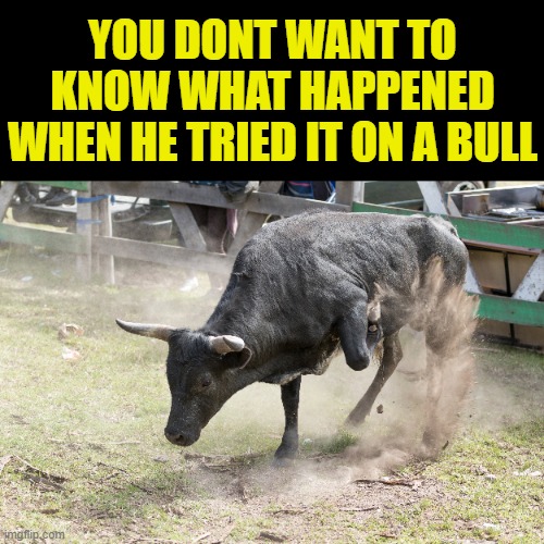YOU DONT WANT TO KNOW WHAT HAPPENED WHEN HE TRIED IT ON A BULL | made w/ Imgflip meme maker