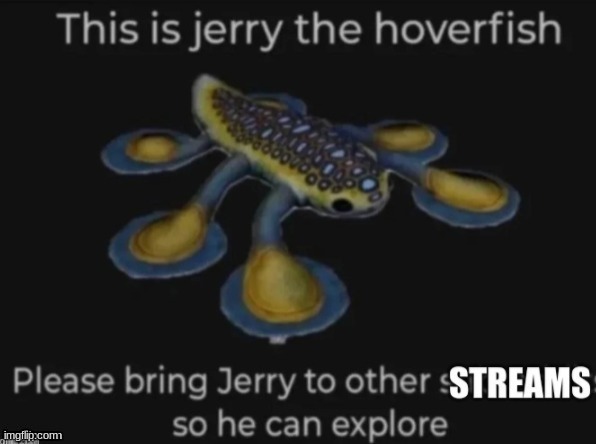 omg jerry in the queer stream | image tagged in jerry the hoverfish | made w/ Imgflip meme maker