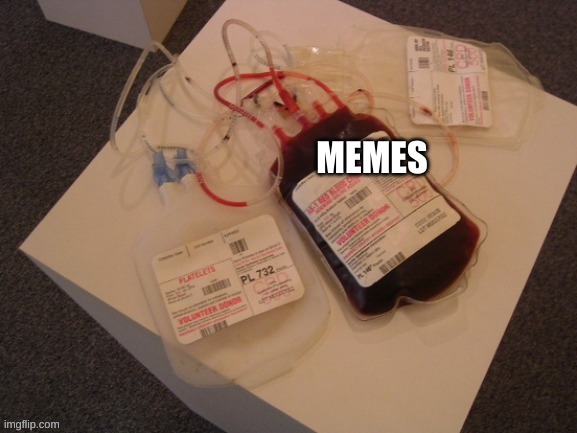 The best medicine | image tagged in medicine | made w/ Imgflip meme maker