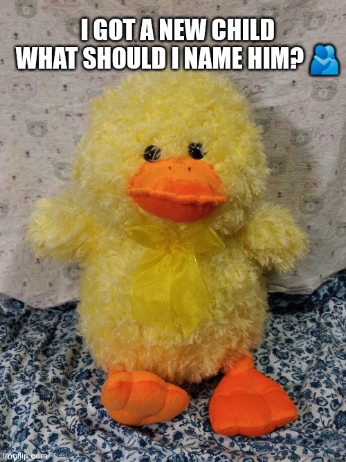 I have to buy at least 3 stuffed animals a week | I GOT A NEW CHILD WHAT SHOULD I NAME HIM? 🫂 | made w/ Imgflip meme maker