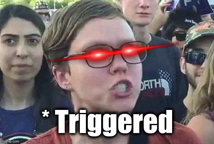 Triggered Liberal | * Triggered | image tagged in triggered liberal | made w/ Imgflip meme maker