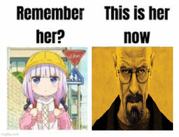 Remember her? | image tagged in animeme,breaking bad | made w/ Imgflip meme maker