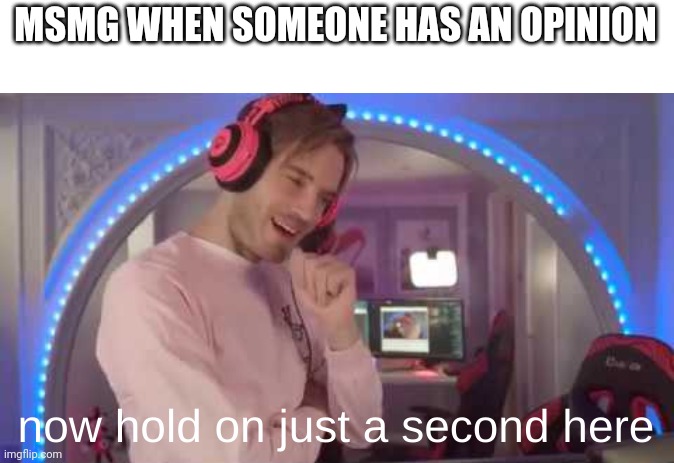 now hold on just a second here | MSMG WHEN SOMEONE HAS AN OPINION | image tagged in now hold on just a second here | made w/ Imgflip meme maker