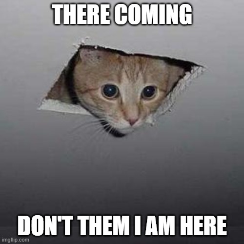 cat hid | THERE COMING; DON'T THEM I AM HERE | image tagged in memes,ceiling cat | made w/ Imgflip meme maker