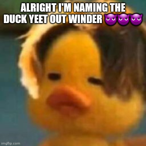 ALRIGHT I'M NAMING THE DUCK YEET OUT WINDER 😈😈😈 | made w/ Imgflip meme maker