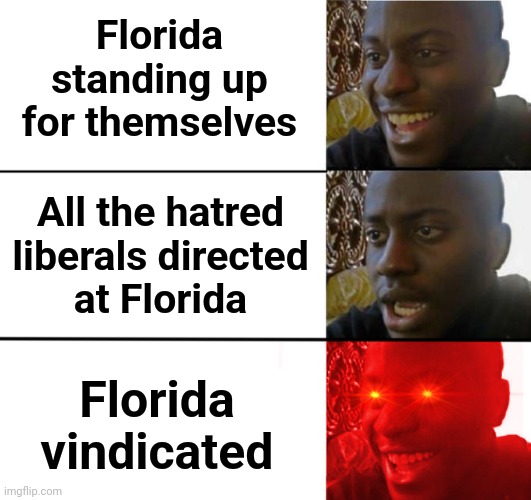 Not disappointed black guy | Florida standing up for themselves All the hatred liberals directed
at Florida Florida vindicated | image tagged in not disappointed black guy | made w/ Imgflip meme maker