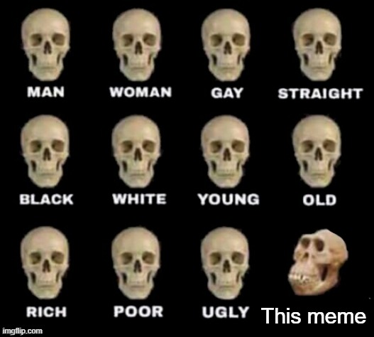 idiot skull | This meme | image tagged in idiot skull | made w/ Imgflip meme maker