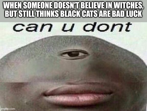 the irony | WHEN SOMEONE DOESN'T BELIEVE IN WITCHES, BUT STILL THINKS BLACK CATS ARE BAD LUCK | image tagged in can you don't | made w/ Imgflip meme maker
