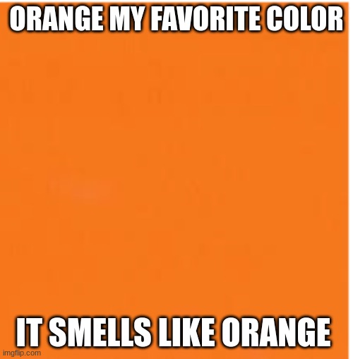 beanz | ORANGE MY FAVORITE COLOR; IT SMELLS LIKE ORANGE | image tagged in orange | made w/ Imgflip meme maker