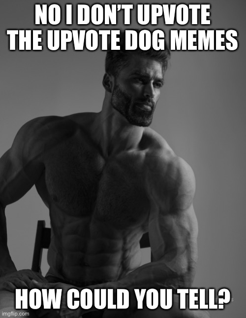 No upvote dog memes | NO I DON’T UPVOTE THE UPVOTE DOG MEMES; HOW COULD YOU TELL? | image tagged in giga chad,memes,funny,funny memes | made w/ Imgflip meme maker