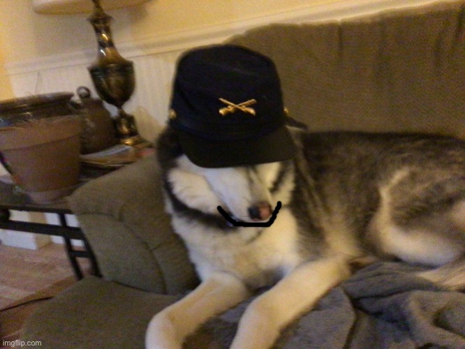 If you vote for Shyro for president  he will be happy and let you pet him | image tagged in union husky,screw it all party,shyro,imgflip,president | made w/ Imgflip meme maker