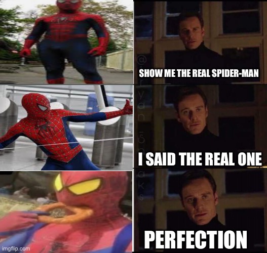 LOL | SHOW ME THE REAL SPIDER-MAN; I SAID THE REAL ONE; PERFECTION | image tagged in show me the real,spiderman,spooderman | made w/ Imgflip meme maker